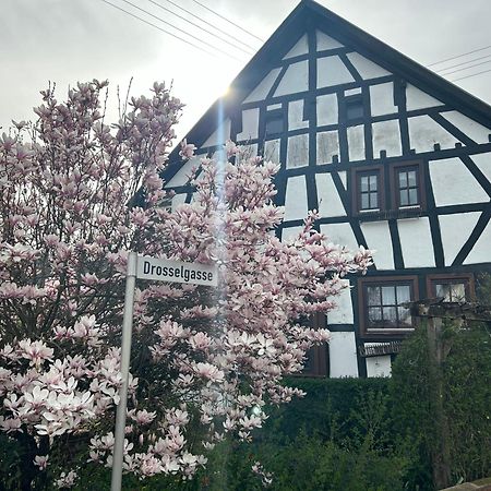 Das Pautzen Haus Даун Экстерьер фото